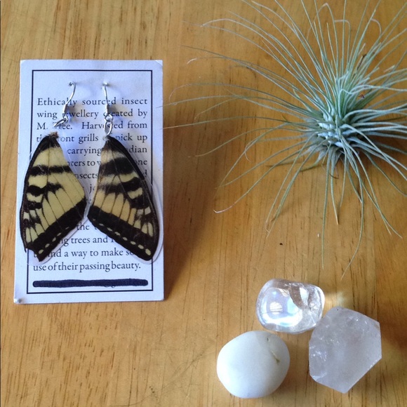 Jewelry - Handmade by me, butterfly wing earrings